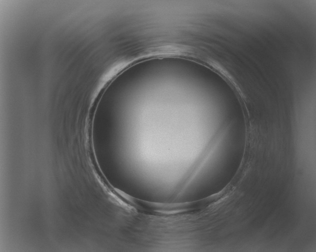 X0000050721477200506151901