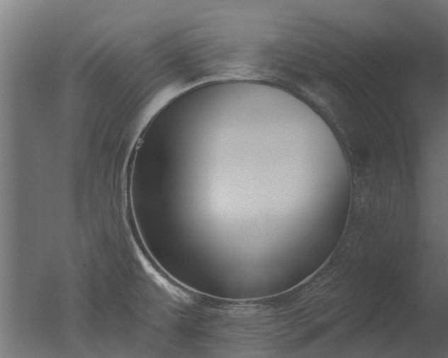 X0000050721479200506151901