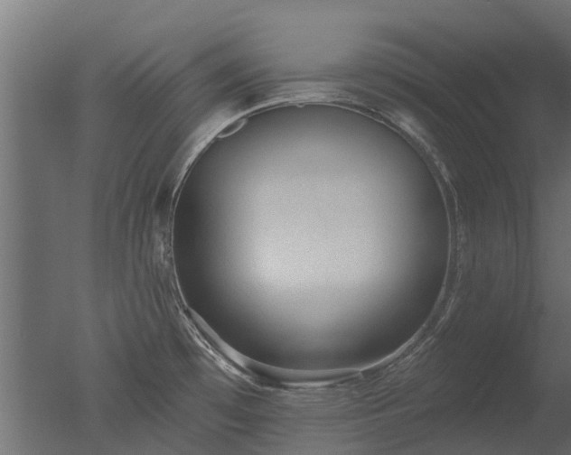 X0000050721481200506151901
