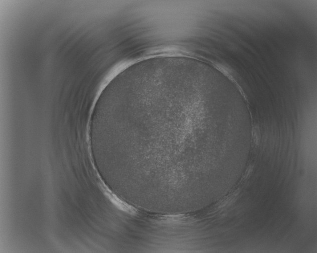 X0000050721482200506151901
