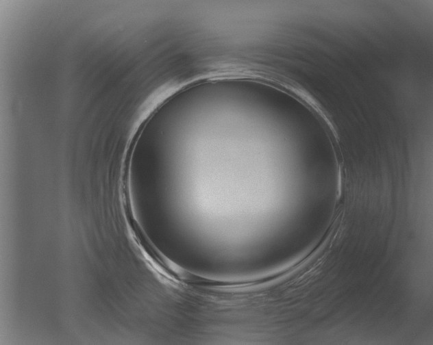 X0000050721485200506151901