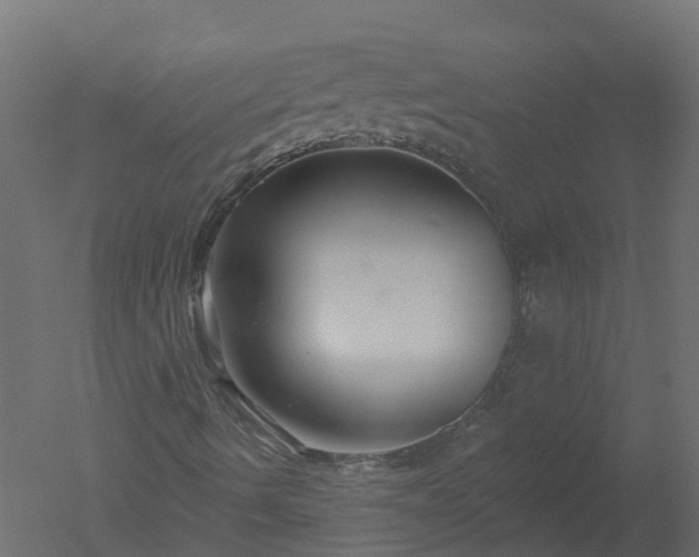 X0000050721490200506151900