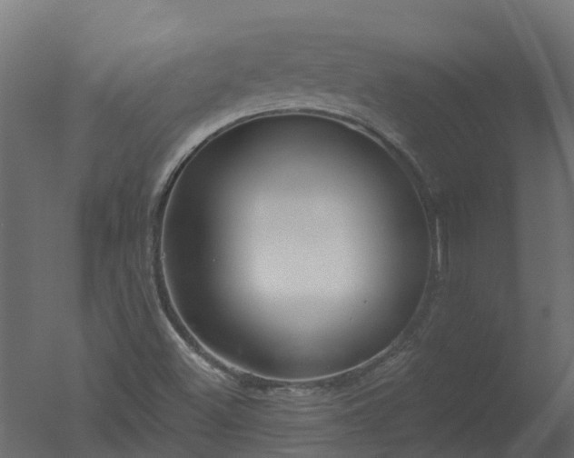 X0000050721500200506151900