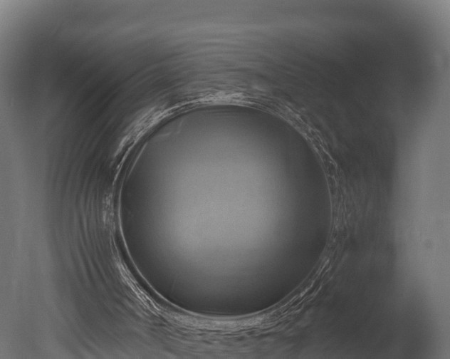 X0000050740002200506161539