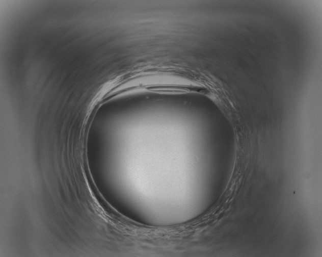 X0000050740003200506161539