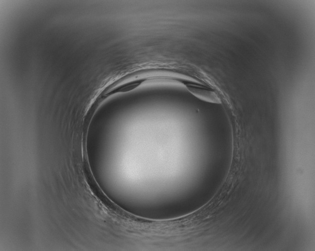 X0000050740011200506161539