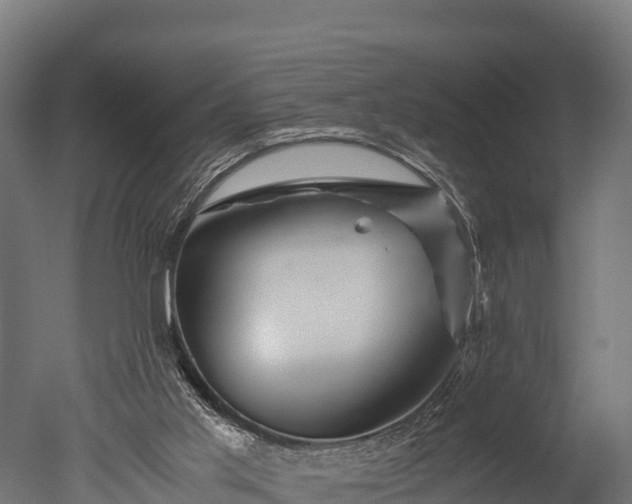 X0000050740013200506161539