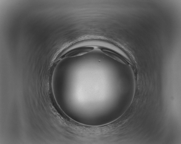 X0000050740015200506161539