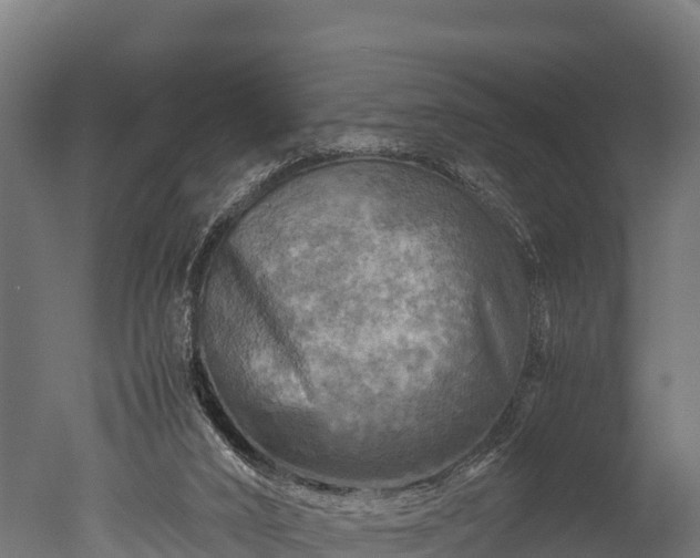 X0000050740016200506161539