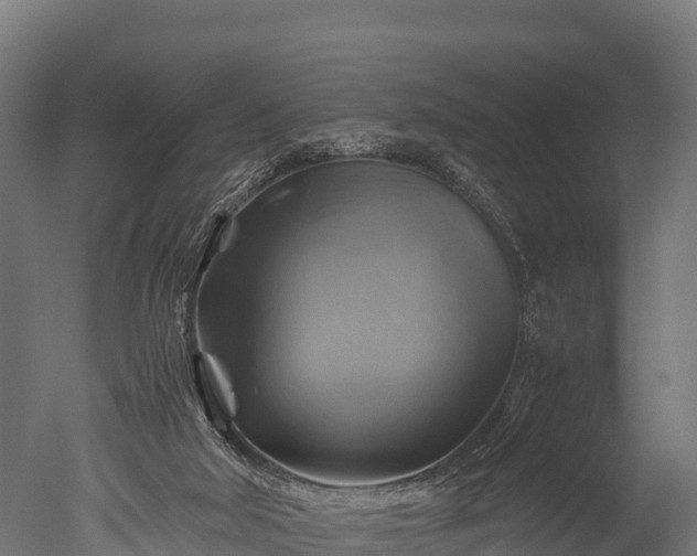 X0000050740018200506161539