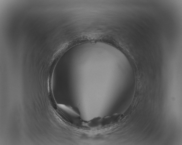 X0000050740019200506161539