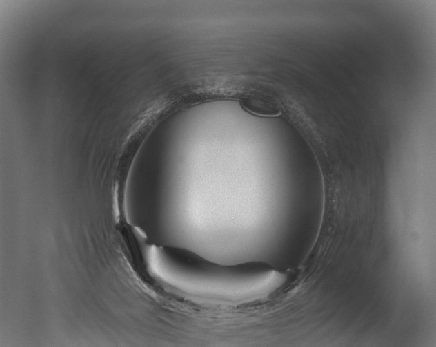 X0000050740020200506161539