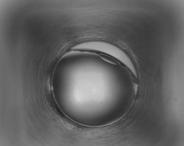 X0000050740021200506161539