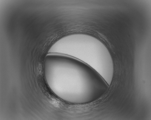 X0000050740025200506161539