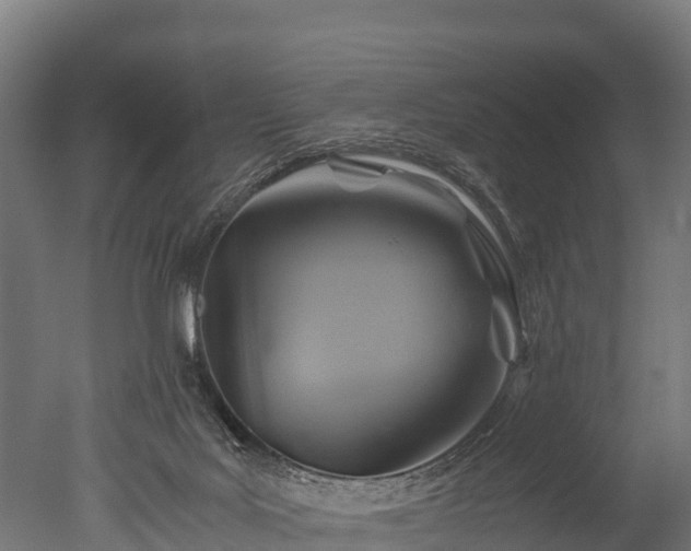 X0000050740027200506161539
