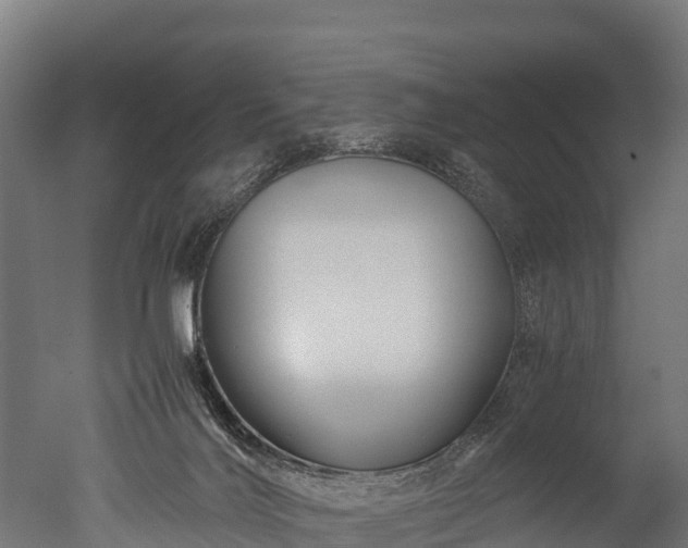 X0000050740028200506161539