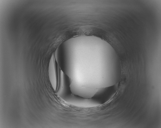 X0000050740045200506161538