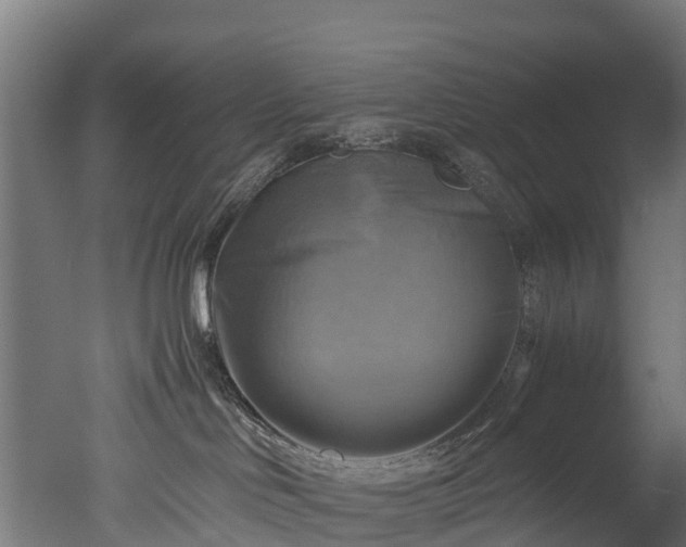 X0000050740046200506161538