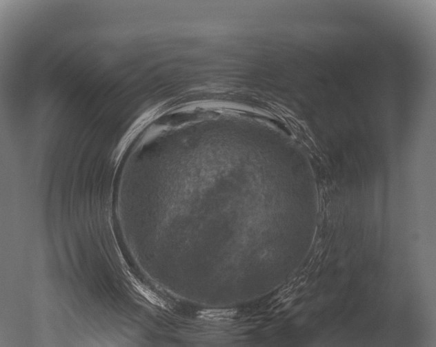 X0000050740051200506161538