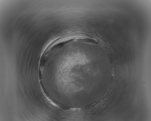 X0000050740052200506161538