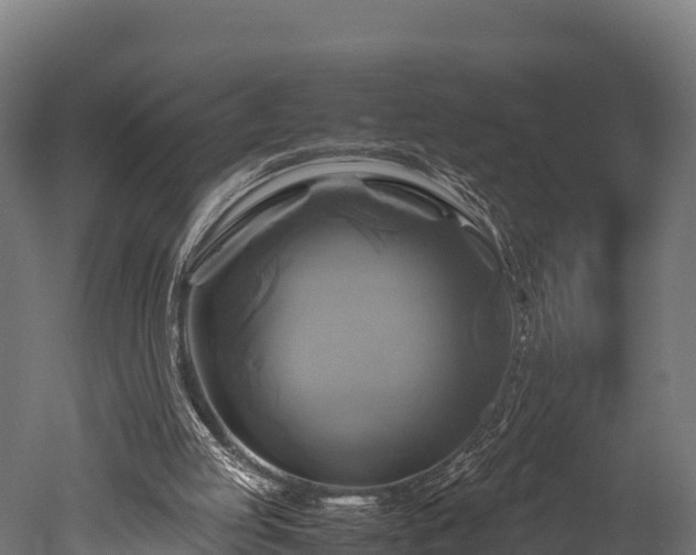 X0000050740053200506161538
