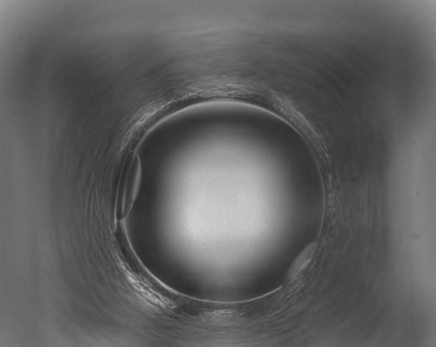X0000050740058200506161538