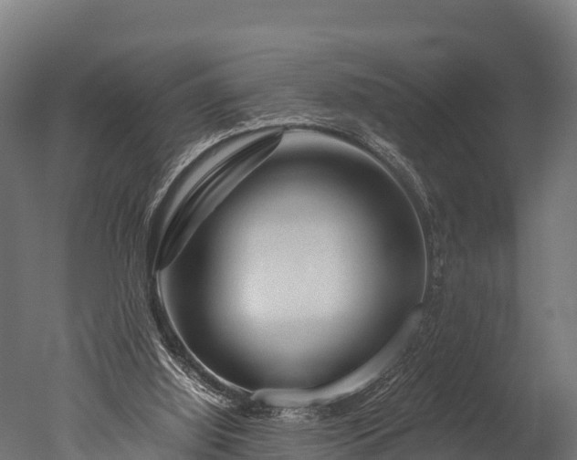 X0000050740060200506161538