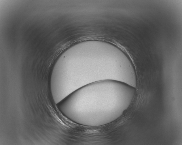X0000050740061200506161538