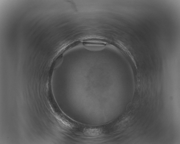 X0000050740063200506161538