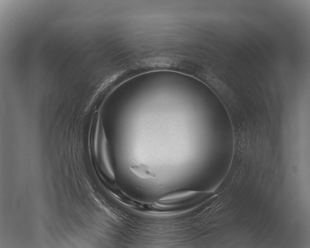 X0000050740064200506161538