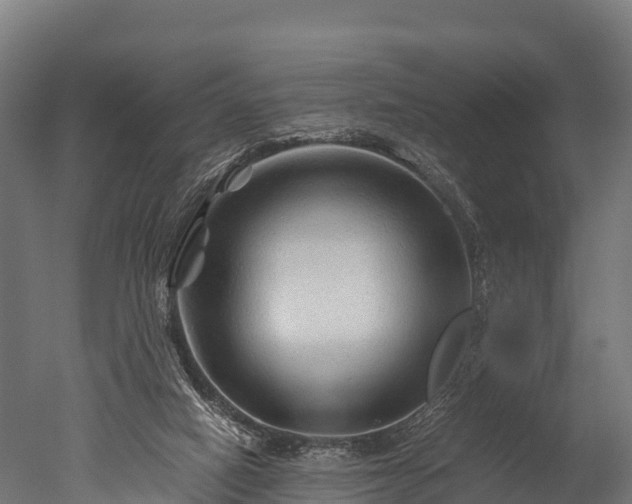 X0000050740066200506161538