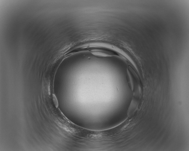 X0000050740068200506161538