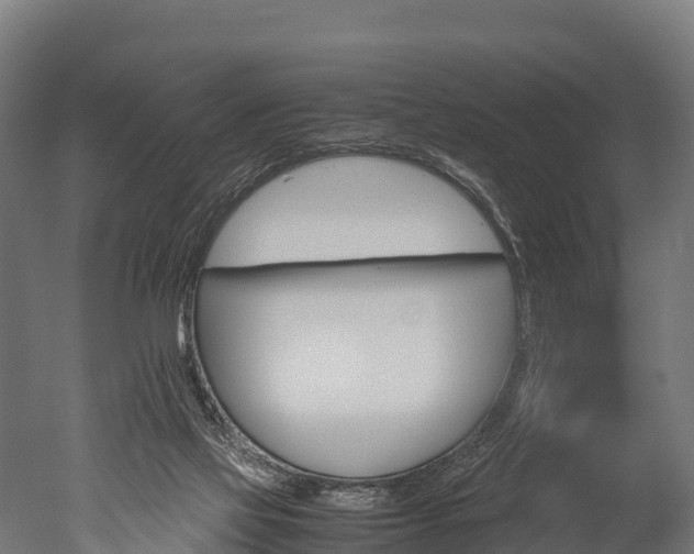 X0000050740069200506161538