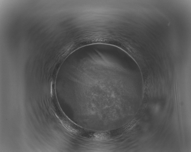 X0000050740070200506161538