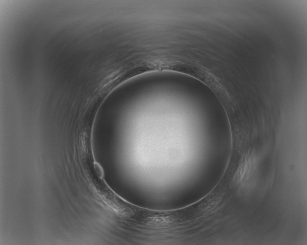 X0000050740071200506161538