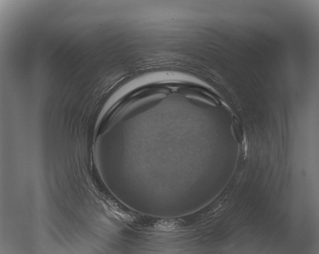 X0000050740076200506161538
