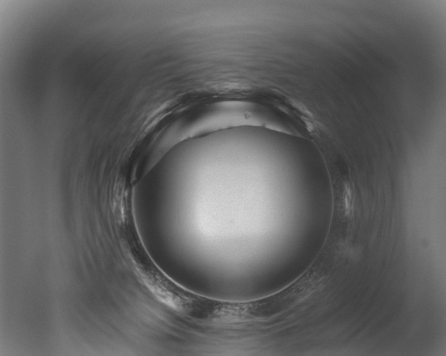 X0000050740084200506161538
