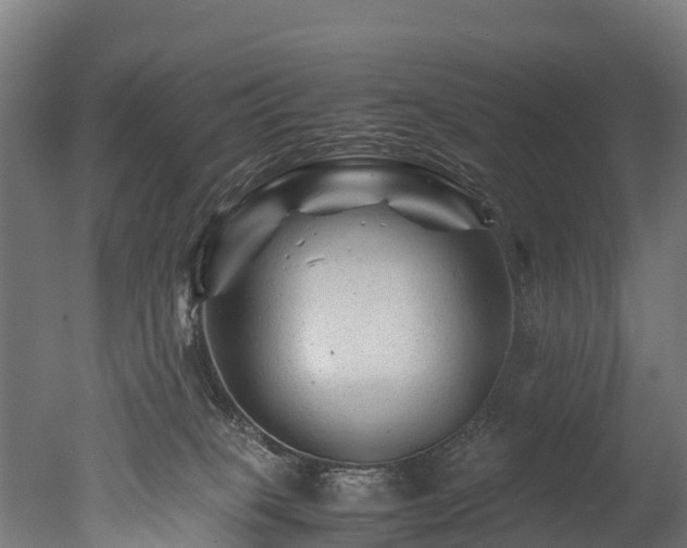 X0000050740085200506161538