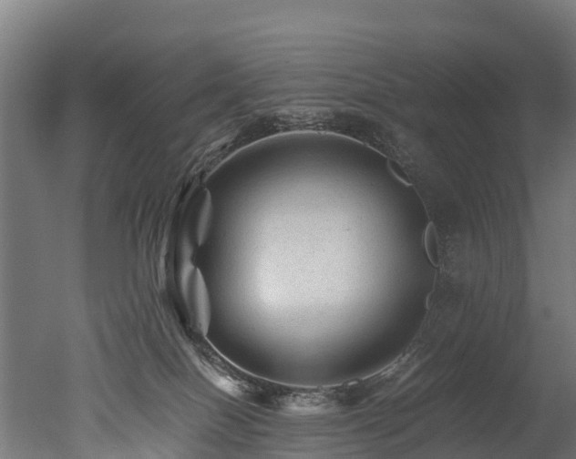 X0000050740086200506161538