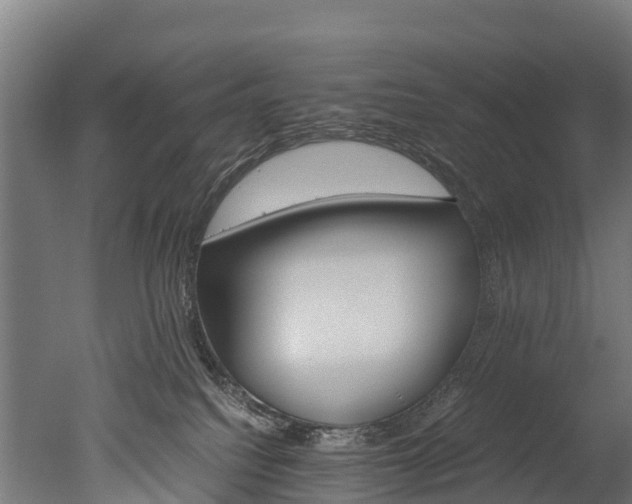 X0000050740088200506161538