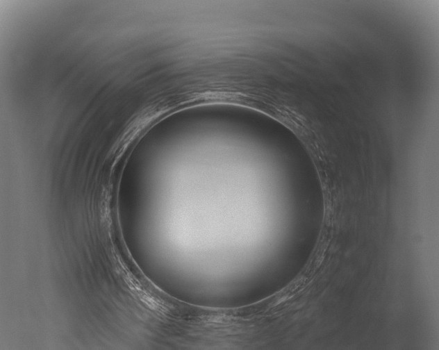 X0000050740098200506161538