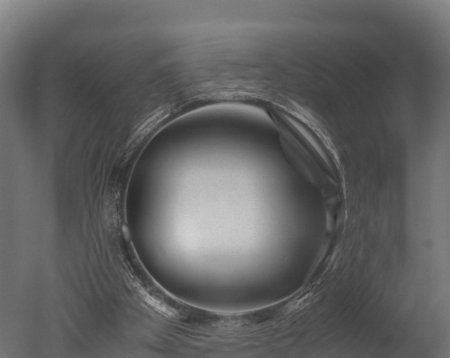 X0000050740105200506161537