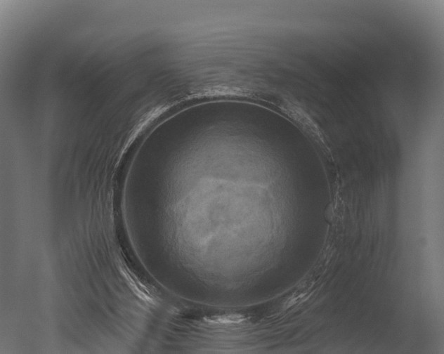 X0000050740108200506161537
