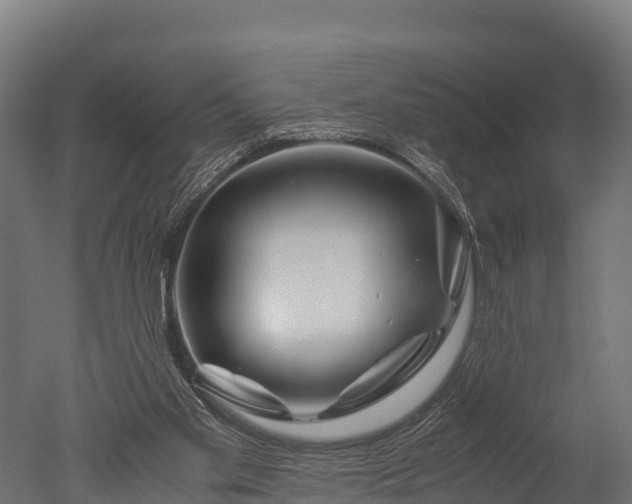X0000050740109200506161537