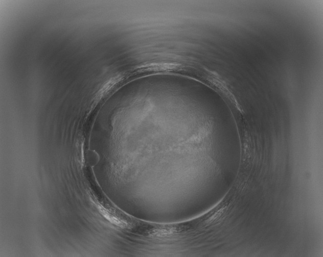 X0000050740110200506161537