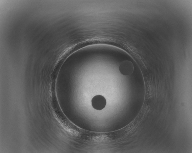 X0000050740112200506161537