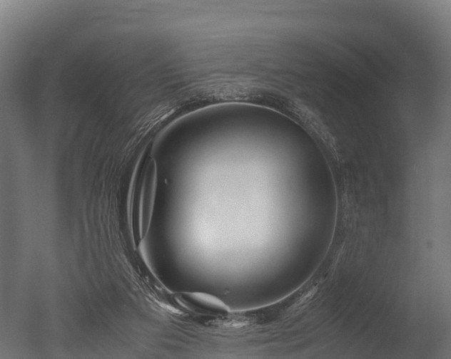 X0000050740113200506161537