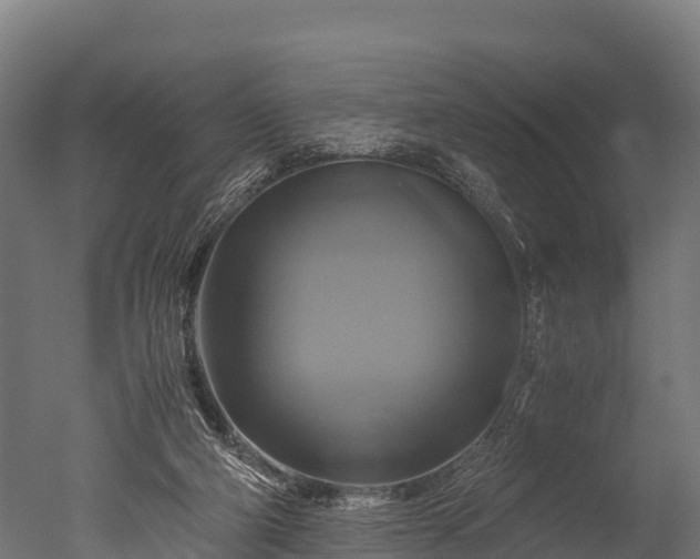 X0000050740114200506161537