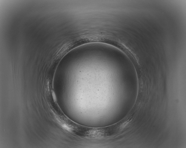 X0000050740117200506161537