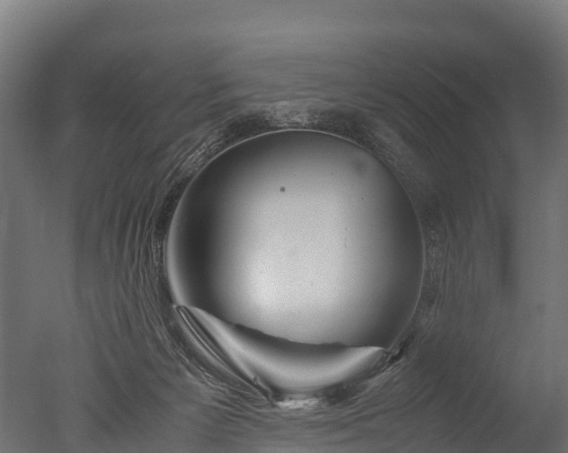 X0000050740125200506161537